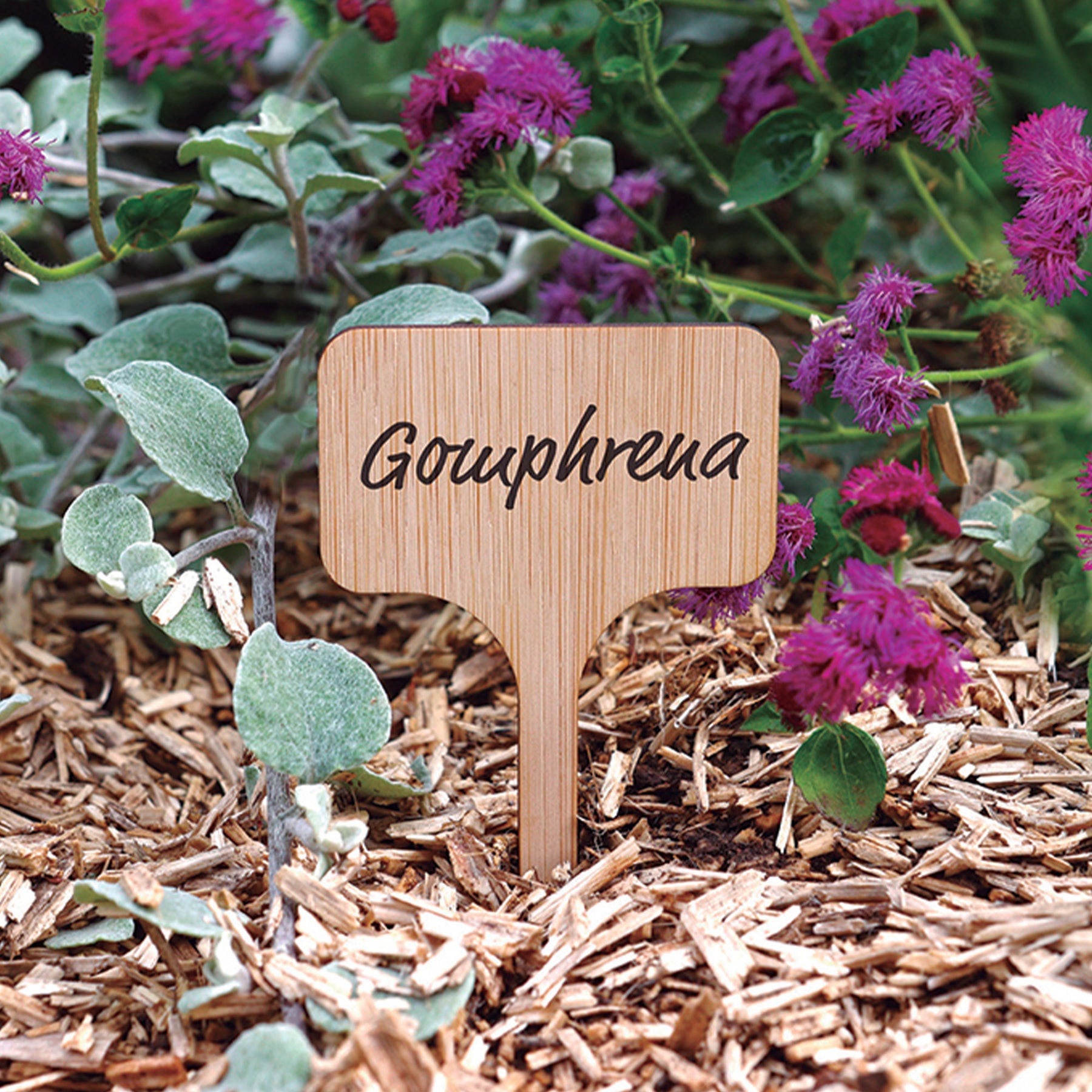 Pflanzenetiketten  (x15) - Willemse