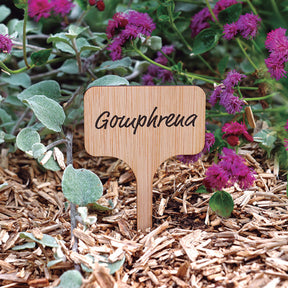 Pflanzenetiketten  (x15) - Willemse