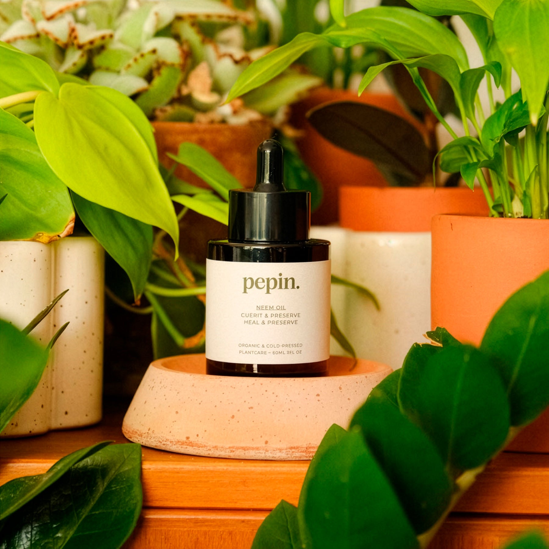 Neemöl -  - Willemse