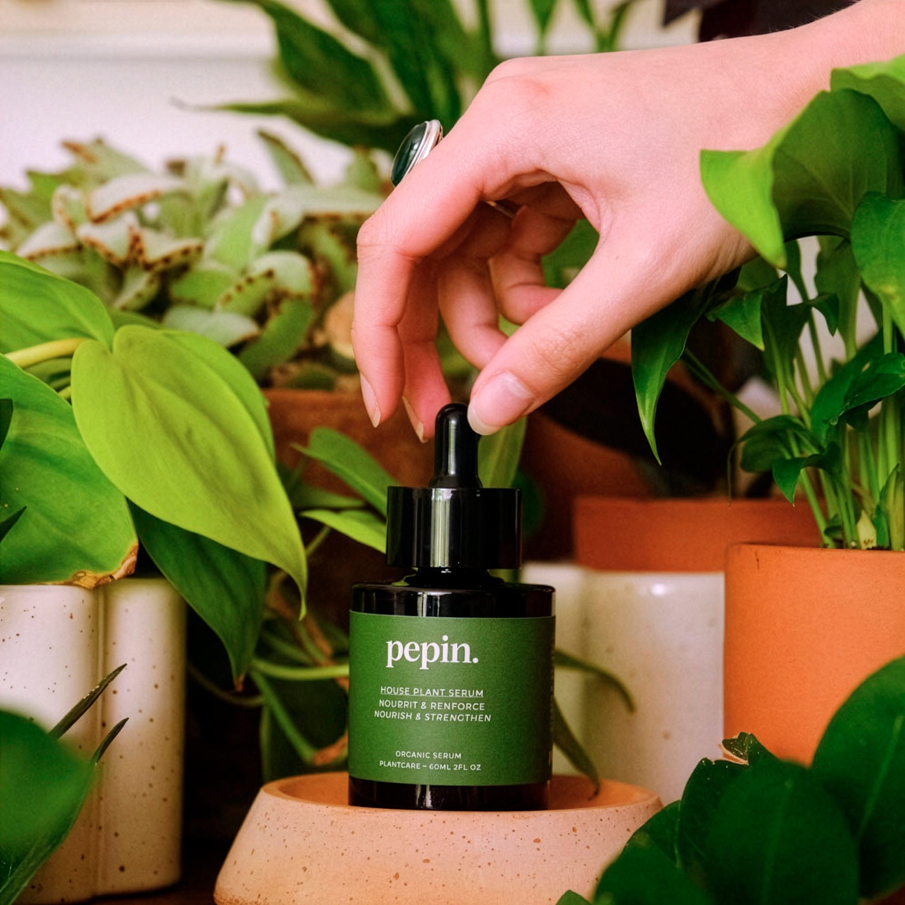 Pflegendes Serum – Grüne Pflanzen - Willemse