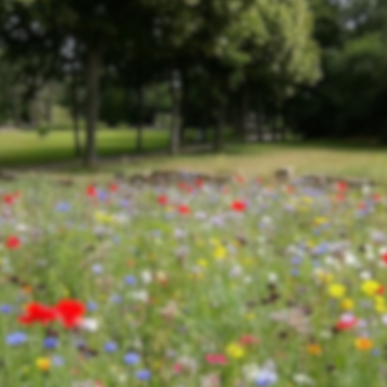 QUI SOMMES-NOUS  (10).png__PID:4a6c2015-6df8-41e4-a1af-765daaccb730