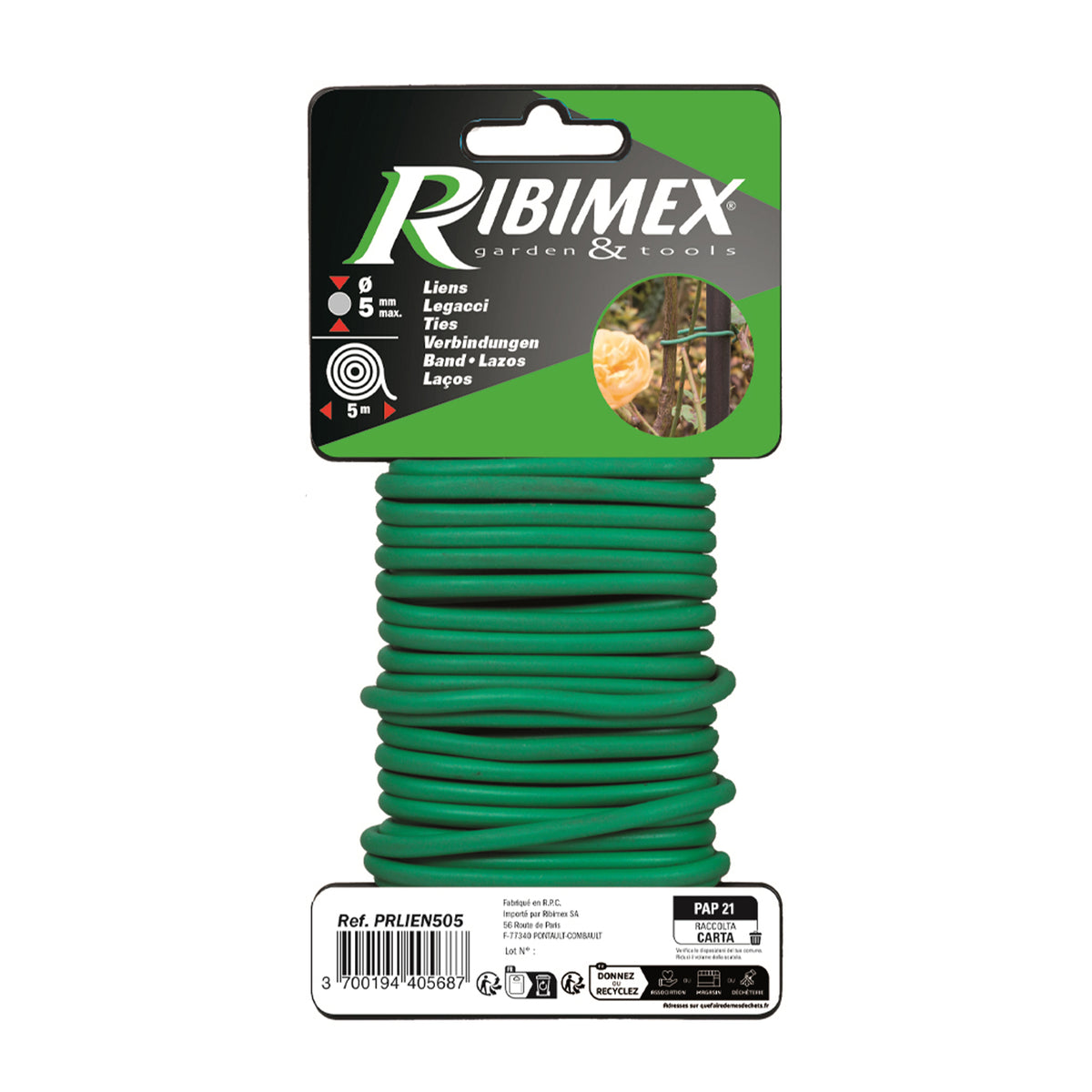 Link diam - Willemse