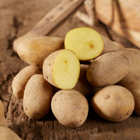 Kartoffel 'Annabelle'