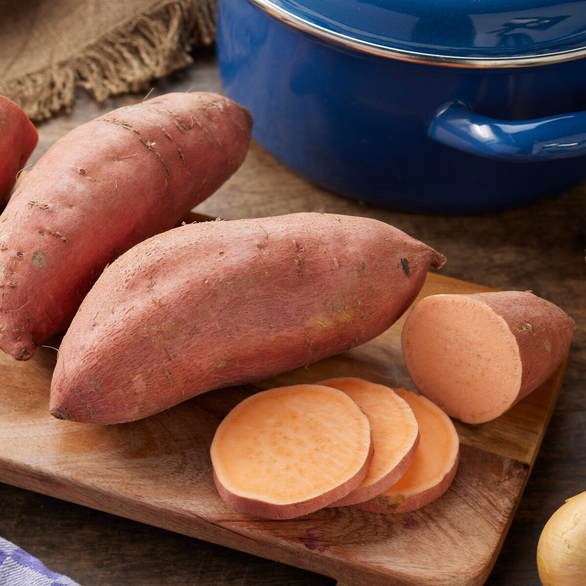 Süßkartoffel - Willemse