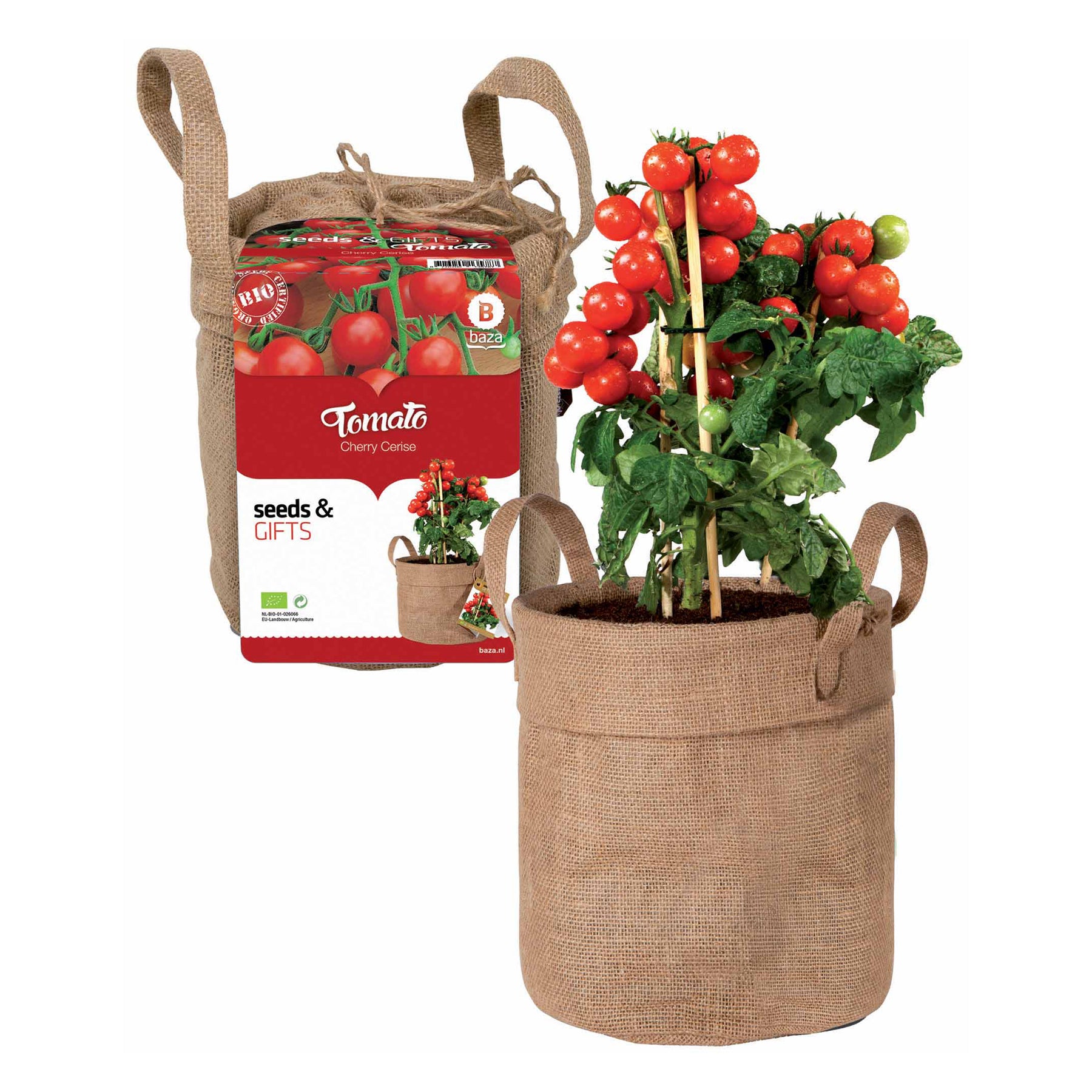 Cherrytomaten-Set mit Dekosack & Erde