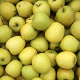 Apfelbaum Golden Delicious - Malus domestica Golden Delicious - Willemse
