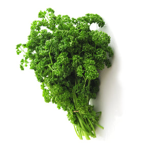 Verkauf Sammlung von Aromapflanzen (x4) - Basilic, ciboulette, persil, thym