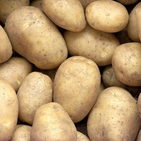 Minette-Kartoffeln - Willemse