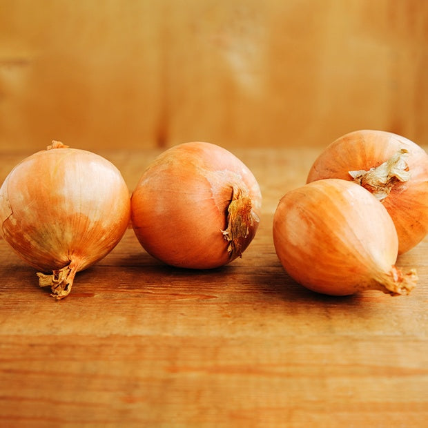 Gelbe Schalotte 'Golden Gourmet' - Allium ascalonicum golden gourmet - Willemse