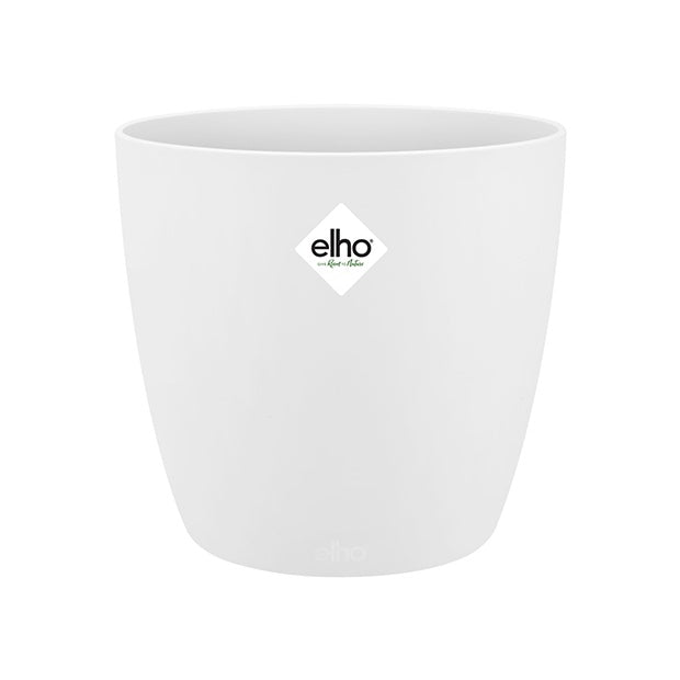 Luftreinigende Pflanzen Mischung inkl. Ziertöpfe, weiß (x4) - Dypsis, Chlorophytum, Asplenium, Spathiphyllum