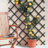 Erweiterbares gartengitter für kletterpflanzen. Inklusive kit zur wandbefestigung - Willemse