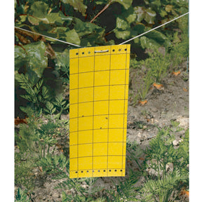 Englutierte Insektenfallen (x5) - Willemse