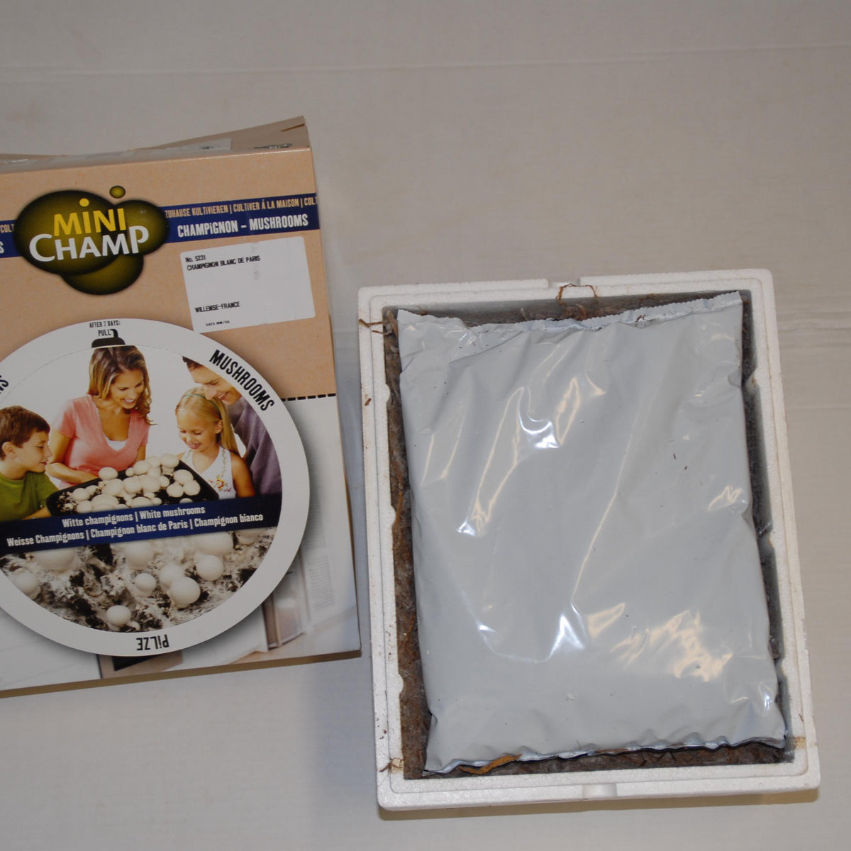 Champignon-Zuchtset 'Blanc de Paris' - Agaricus bisporus albidus - Pilze