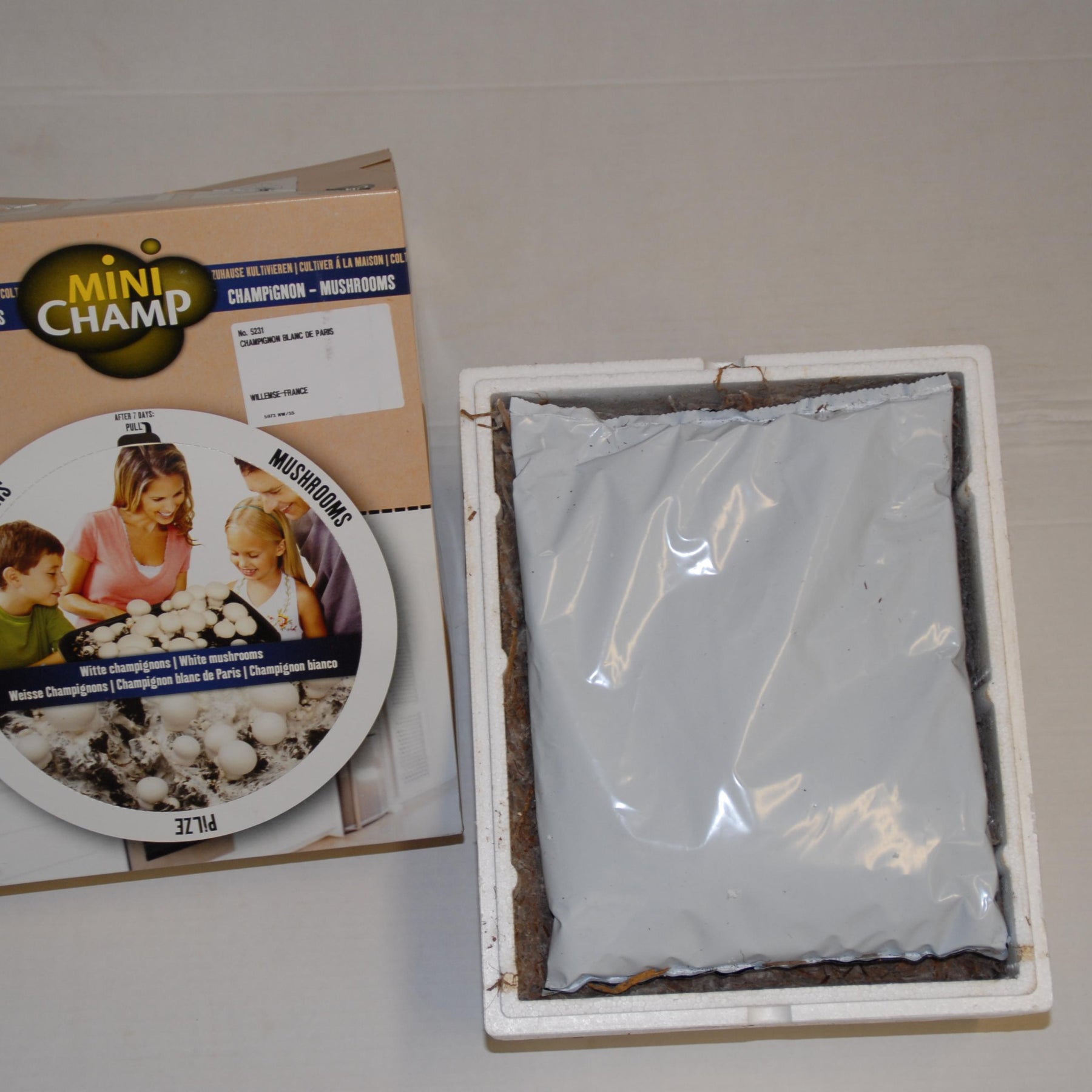 Champignon-Zuchtset 'Blanc de Paris' - Agaricus bisporus albidus - Pilze