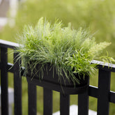 Elho balkonkasten Greenville easy balcony Living schwarz