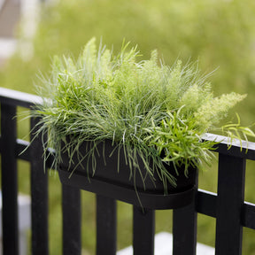 Elho balkonkasten Greenville easy balcony Living schwarz