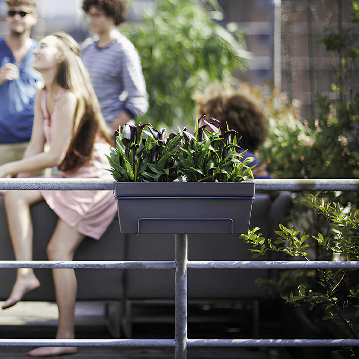 Elho Balkonkasten Loft Urban allin1 rechteckig anthrazit - Willemse