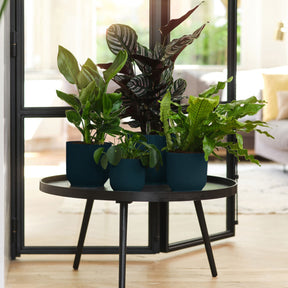 Elho Blumentopf Vibes Fold rund blau - Innentopf