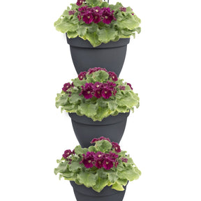 Elho Vertikaler Garten 'Vibia Campana', rund - Pflanzgefäß Outdoor Anthrazit (x3)