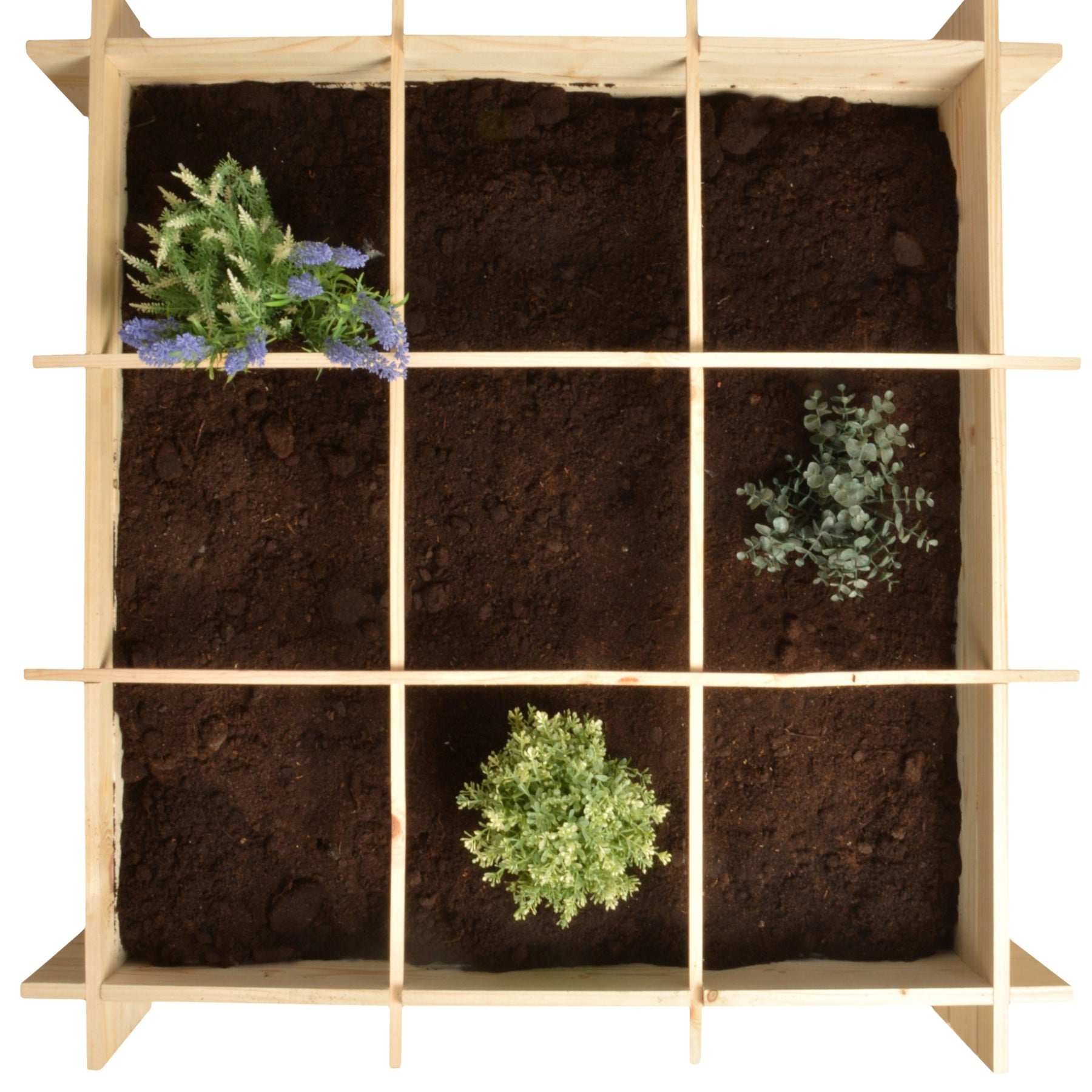 Gemüsegartenquadrat aus FSC-Kiefernholz