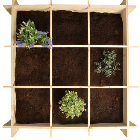 Gemüsegartenquadrat aus FSC-Kiefernholz