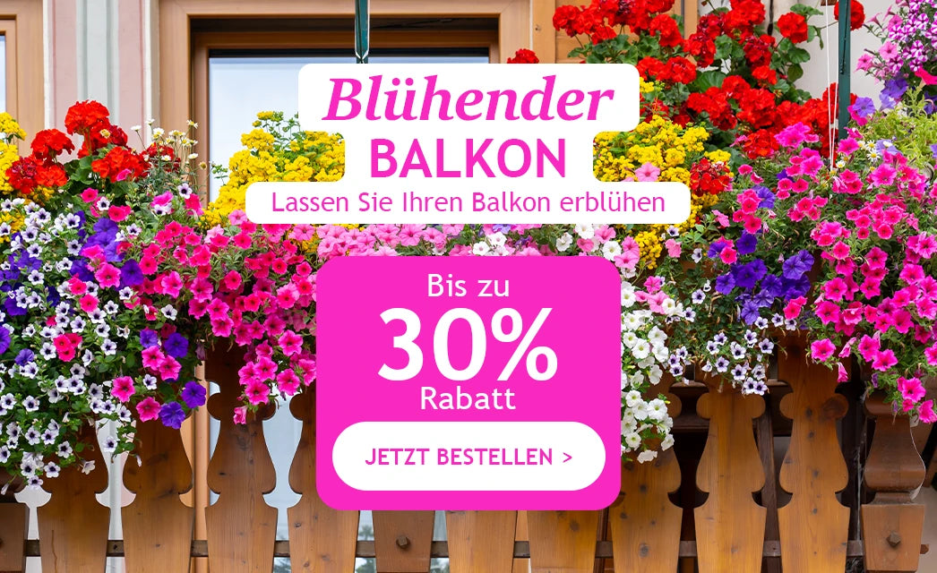 Blühender Balkon bis zu 30 % Rabatt