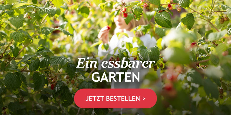 Alles für einen essbaren Garten