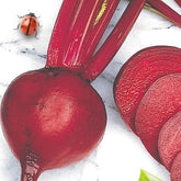 Rote Bete Detroit 2 Storuman Bio - Willemse