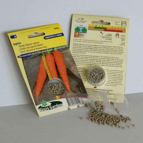 Karotte Jupiter Typ Flakkée - Willemse