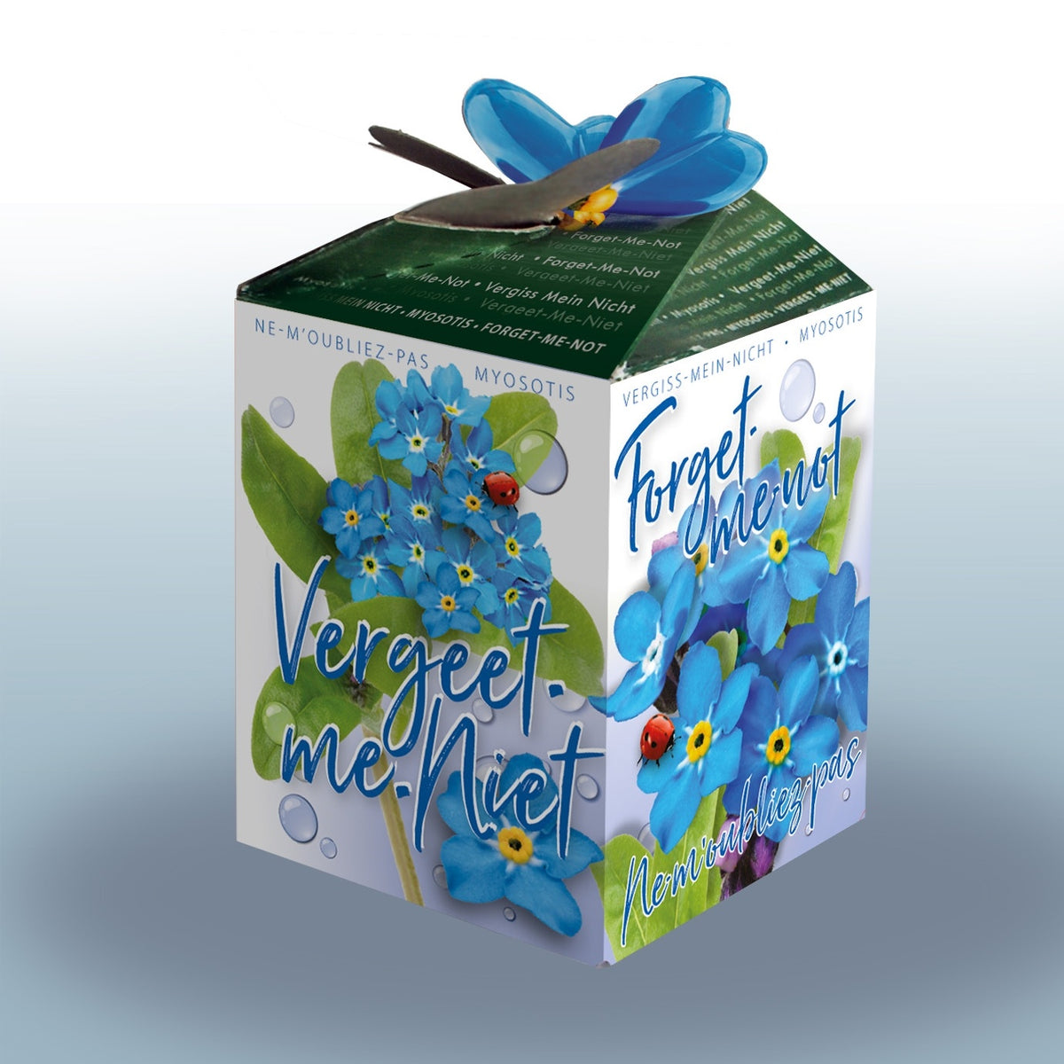 Vergissmeinnicht-Kit Vergissmeinnicht - Willemse