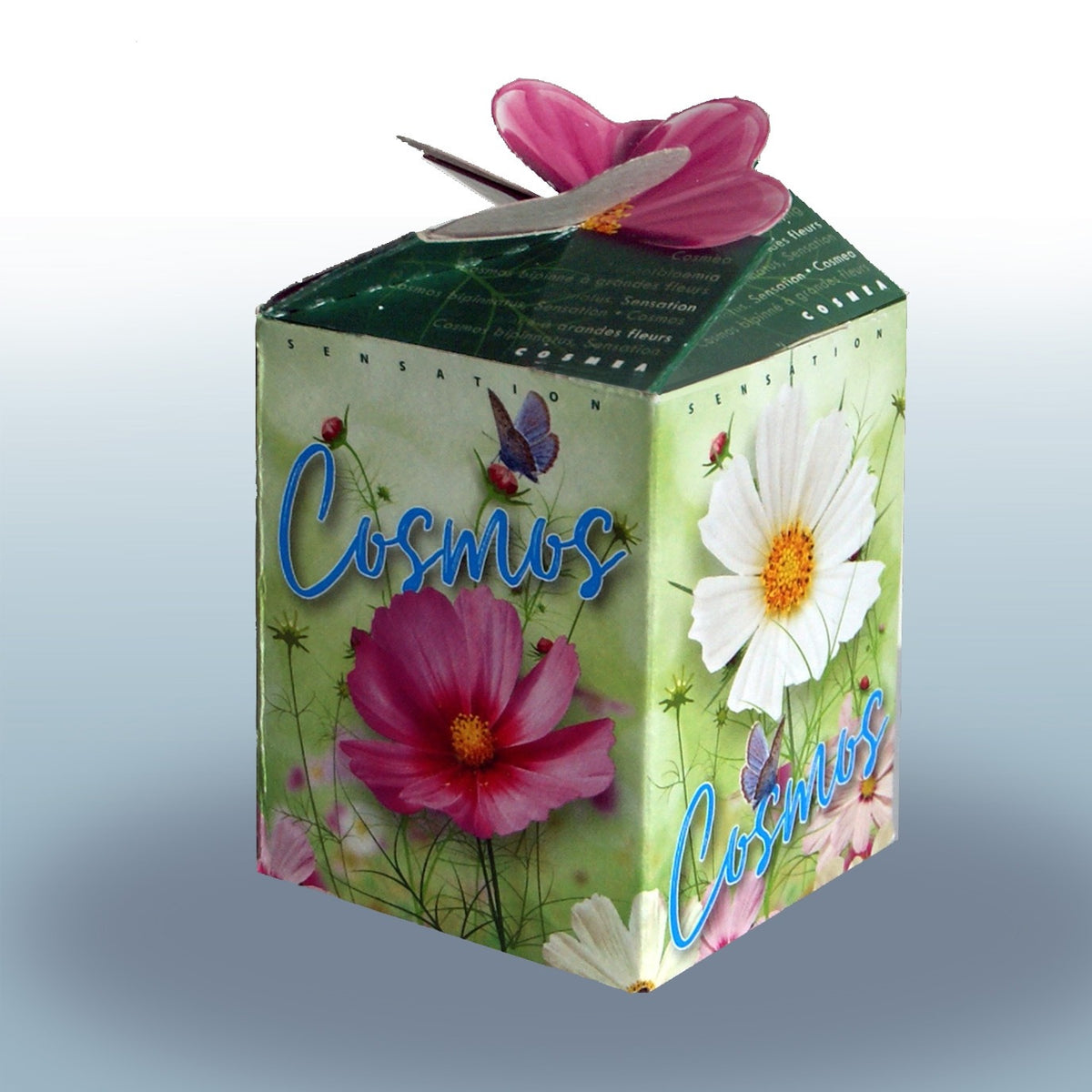 Cosmos-Set - Willemse