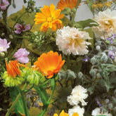 Essbare Blüten & Kräuter Mischung (2 m²) - Willemse
