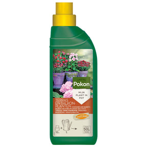 Pokon Pflanzendünger Terrasse & Balkon - Willemse